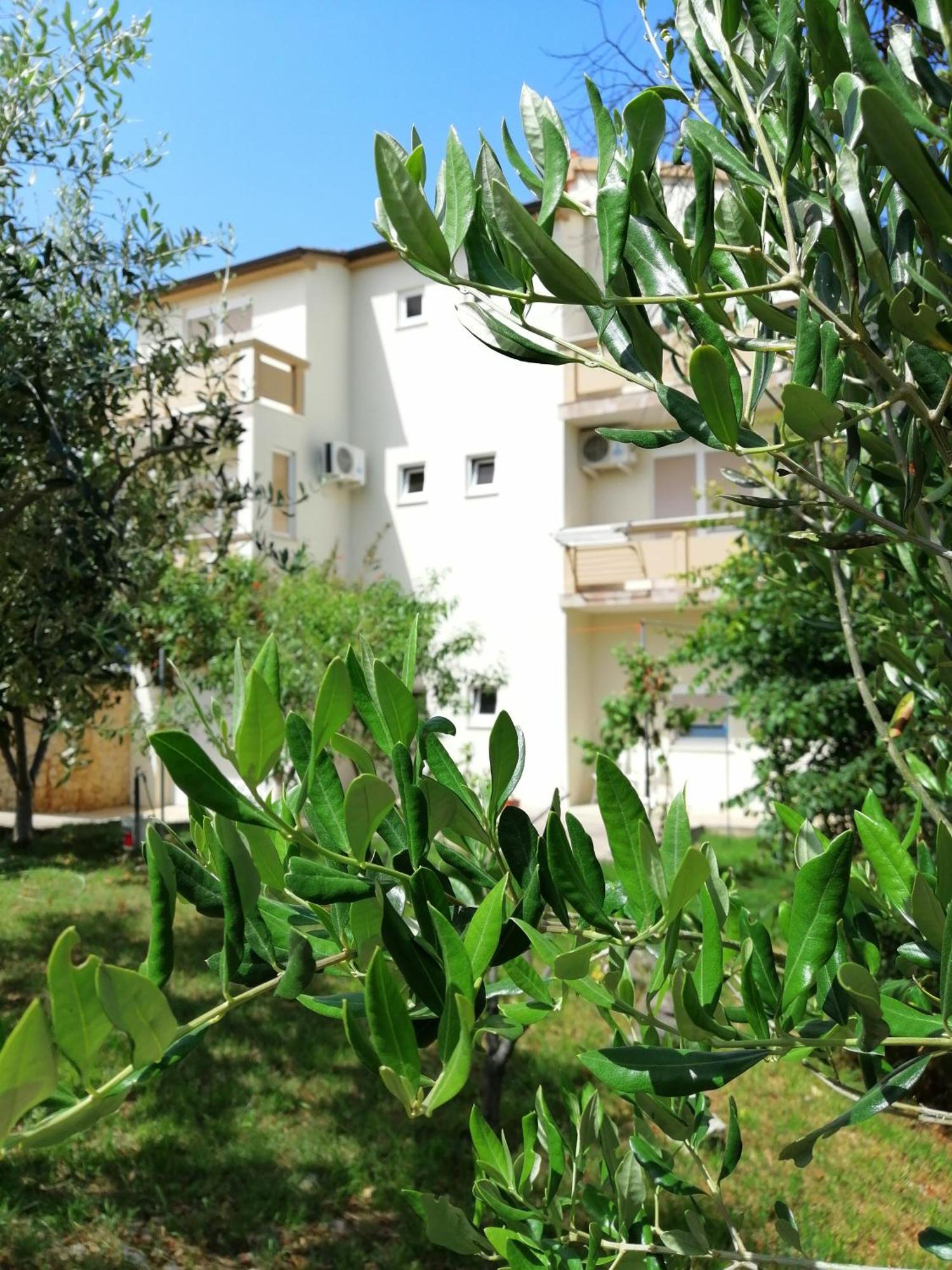 Apartments Monika Nin Exteriér fotografie